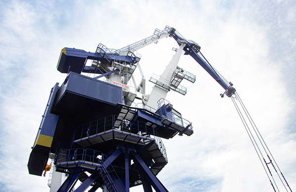 Портальный кран «Витязь» поставлен на территорию одного из портов Азово-Черноморского бассейна